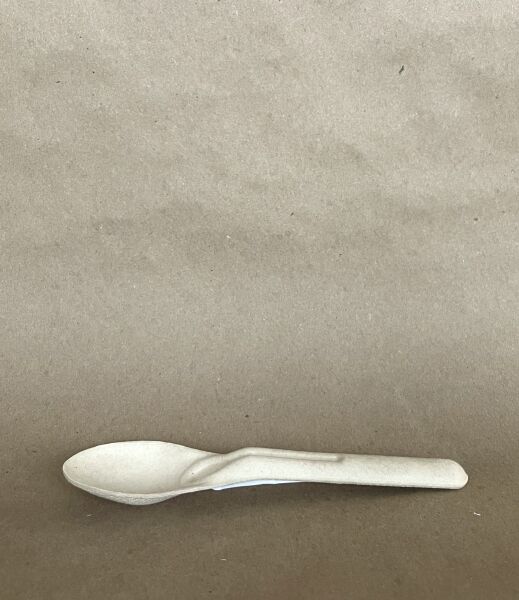 5.5" Natural Sugarcane Spoon  1000cs - Disposable Take Away Food Packaging - Canadian Distribution - Image 2