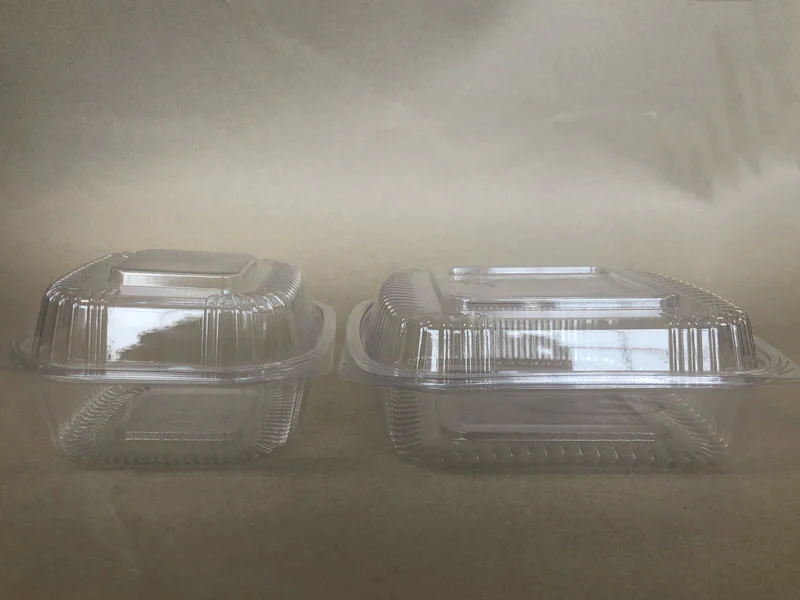 6"x 6" x 3" PLA Clamshell 240cs BPI - Disposable Take Away Food Packaging - Canadian Distribution - Image 3