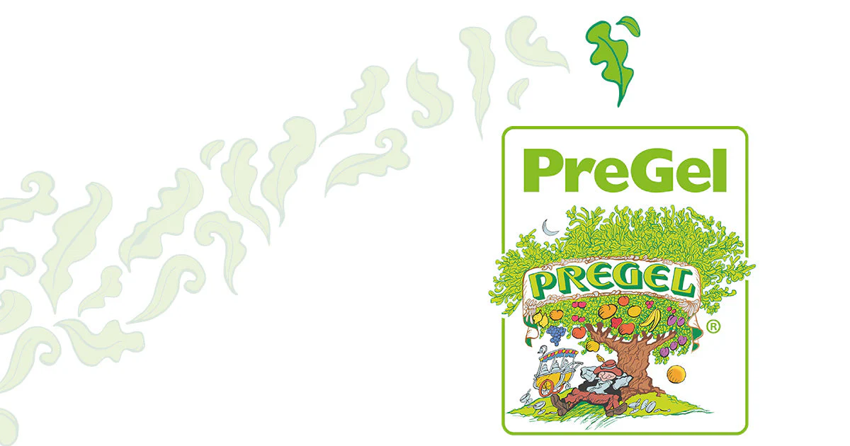 PreGel - Always Fresco Fruit Base (12 x 1.1kg Case) - Canadian Distribution - Ships Free Within Canada on Orders Above CAD $199 - Image 2