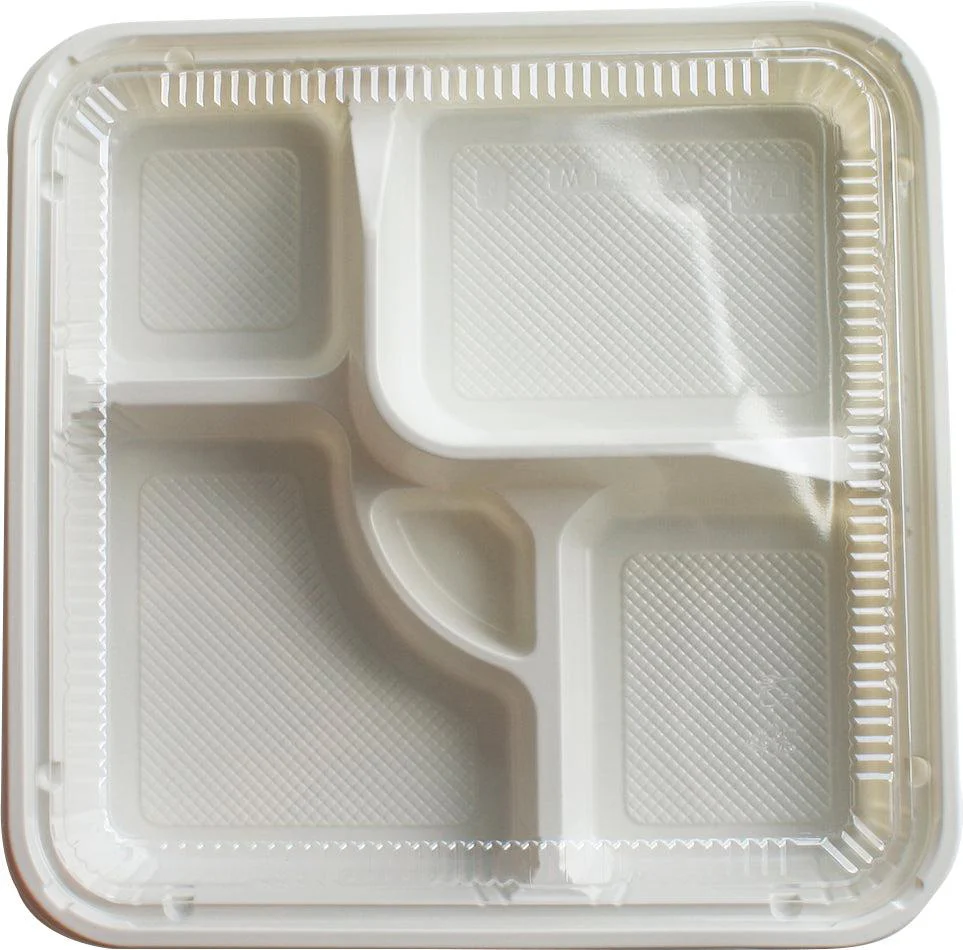 Bento Box w/Lid - HQ-307 - Image 5