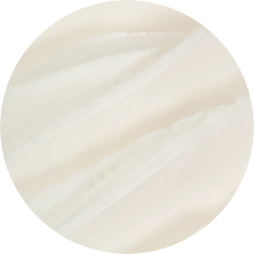 PreGel - Cake Batter Ready To Use (10 x 1.2kg Case) - Canadian Distribution - Ships Free Within Canada on Orders Above CAD $199 - Image 2