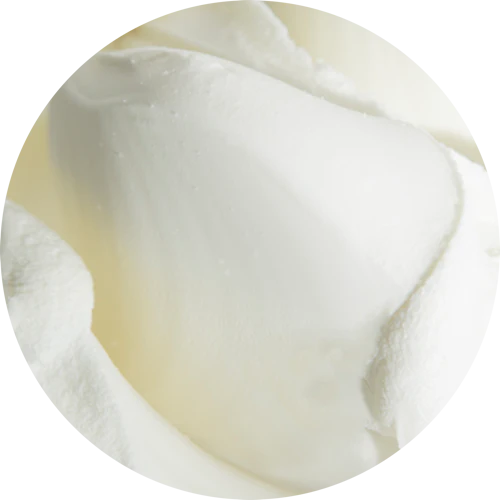 PreGel - Dietetic Milk Base (8 x 2kg Case) - Canadian Distribution - Ships Free Within Canada on Orders Above CAD $199