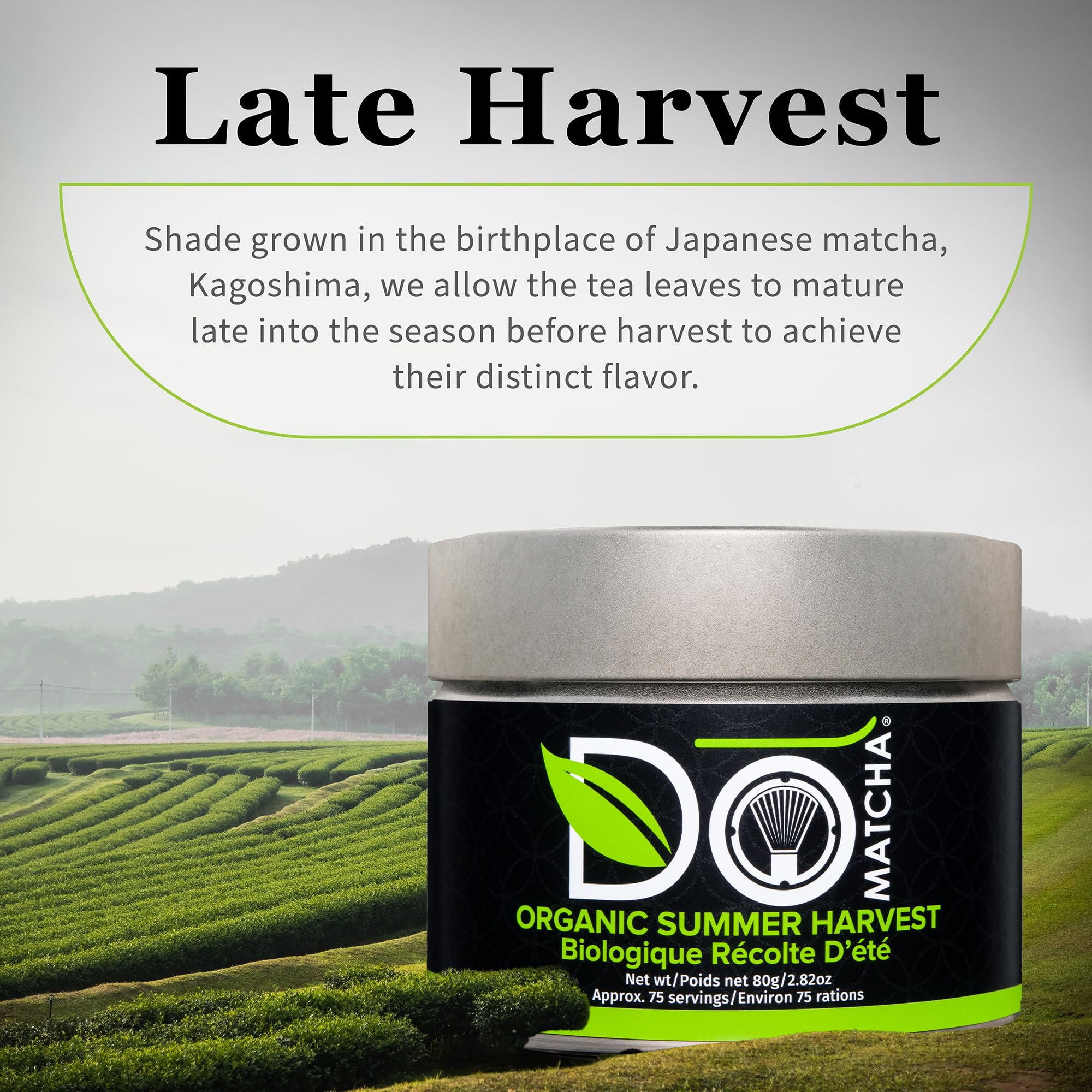 DoMatcha โ Matcha Powder โ Organic Summer Harvest โ 80g Tin - Canadian Distribution - Ships Free Within Canada on Orders Above CAD $199 - Image 4