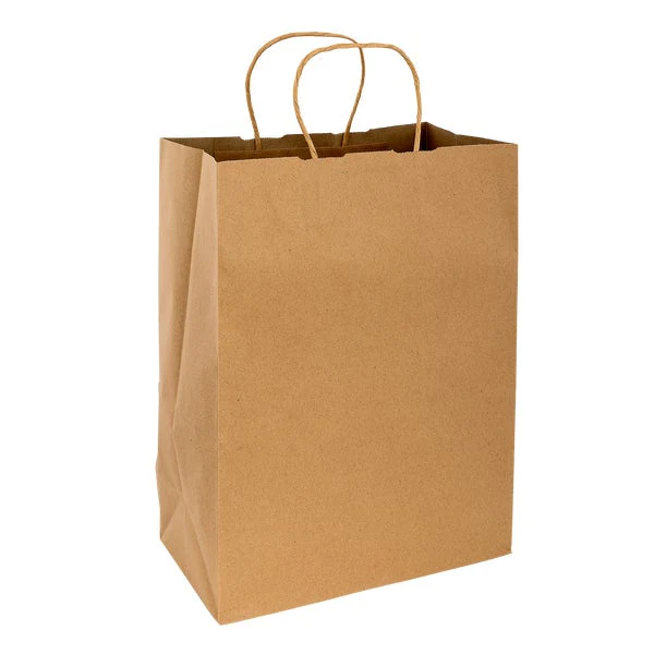 Dorfin – Kraft Paper Shopping Bags #2 - Pack of 250  - Disposables, Restaurant Packaging and Take-Out Supplies - Canadian Distribution - Ships Free Within Canada on Orders Above CAD $199 - Image 2