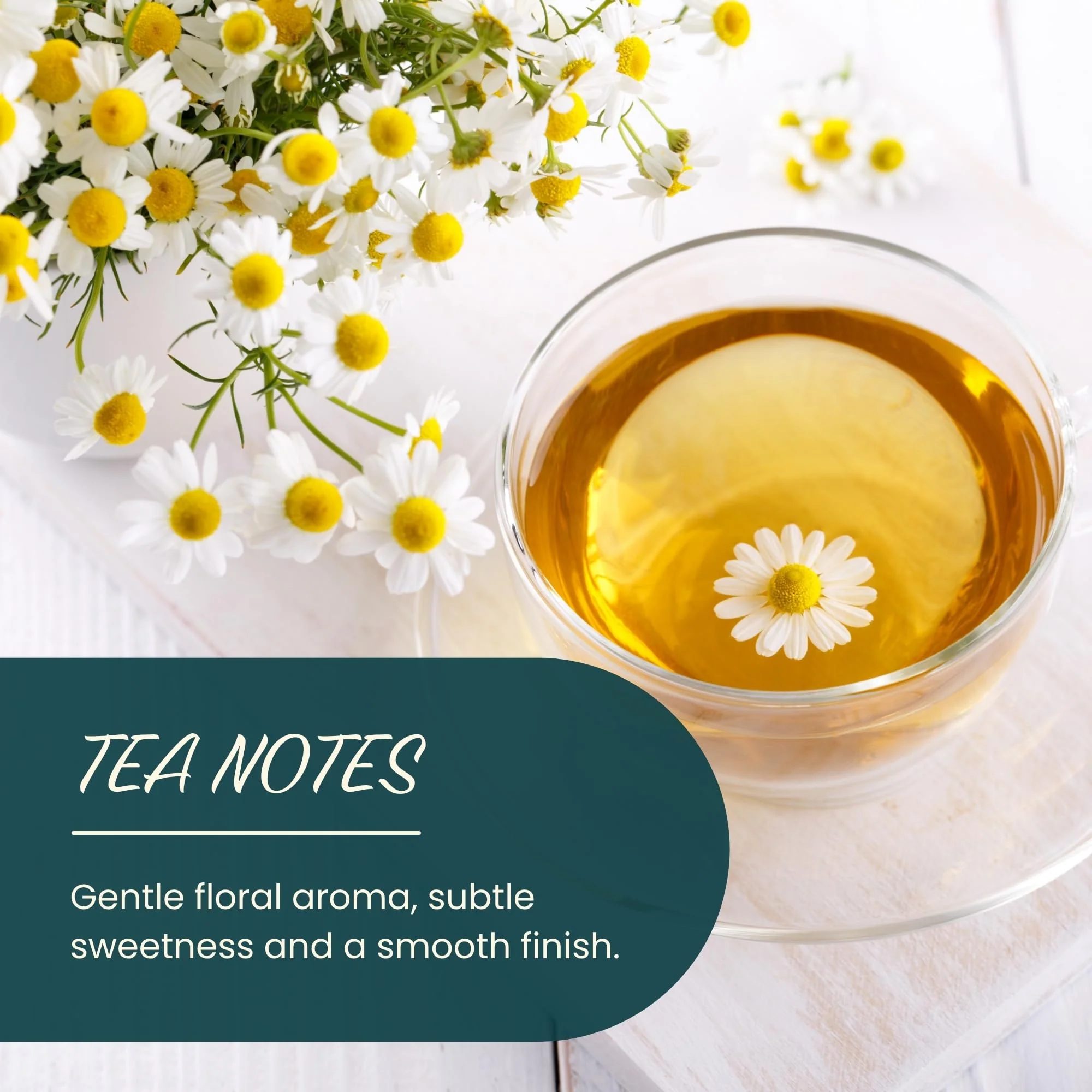 Dragonfly Herbs – Chamomile Tea – Organic Whole Flowers – 250g - Canadian Distribution - Ships Free Within Canada on Orders Above CAD $199 - Image 5