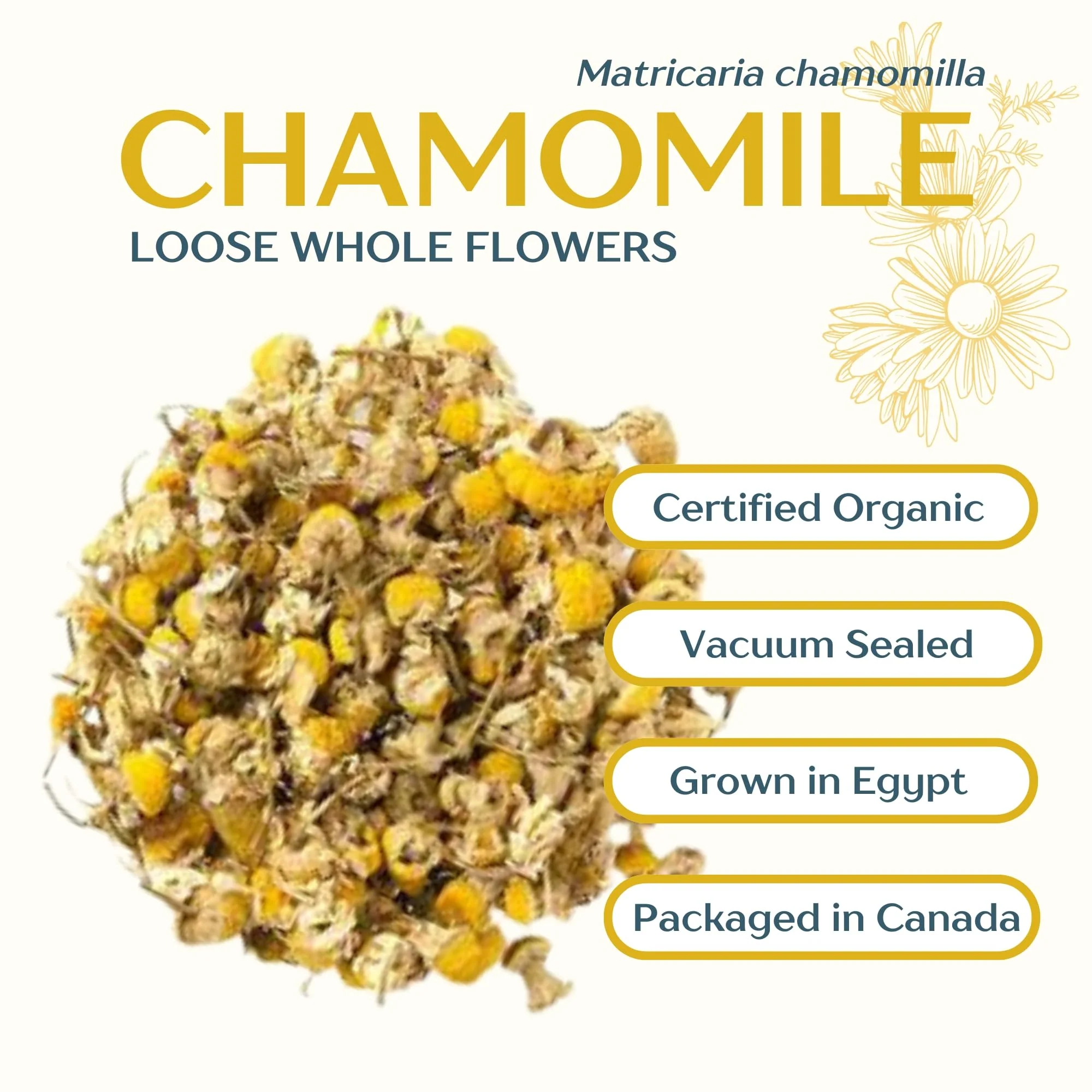Dragonfly Herbs – Chamomile Tea – Organic Whole Flowers – 250g - Canadian Distribution - Ships Free Within Canada on Orders Above CAD $199 - Image 6