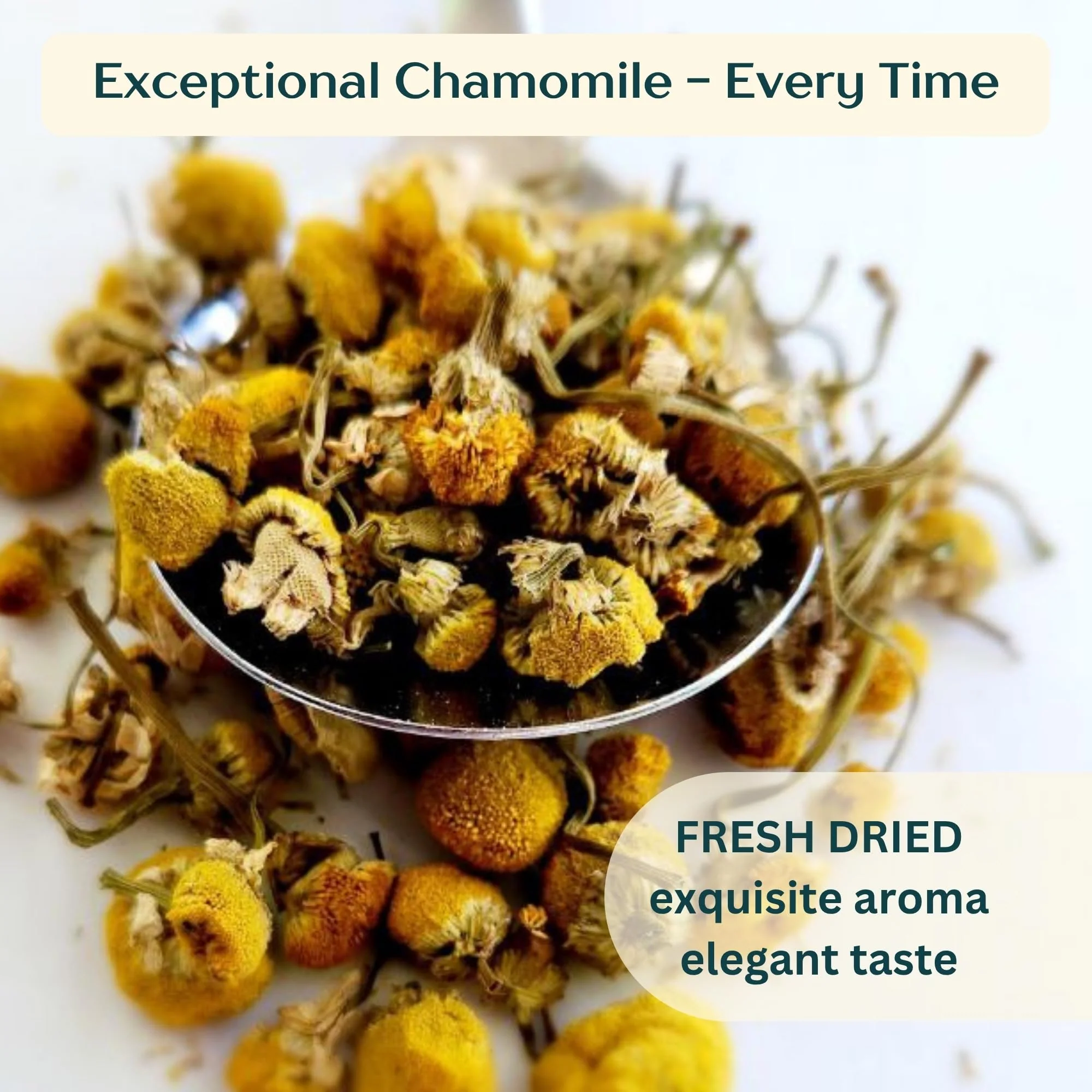 Dragonfly Herbs – Chamomile Tea – Organic Whole Flowers – 250g - Canadian Distribution - Ships Free Within Canada on Orders Above CAD $199 - Image 9