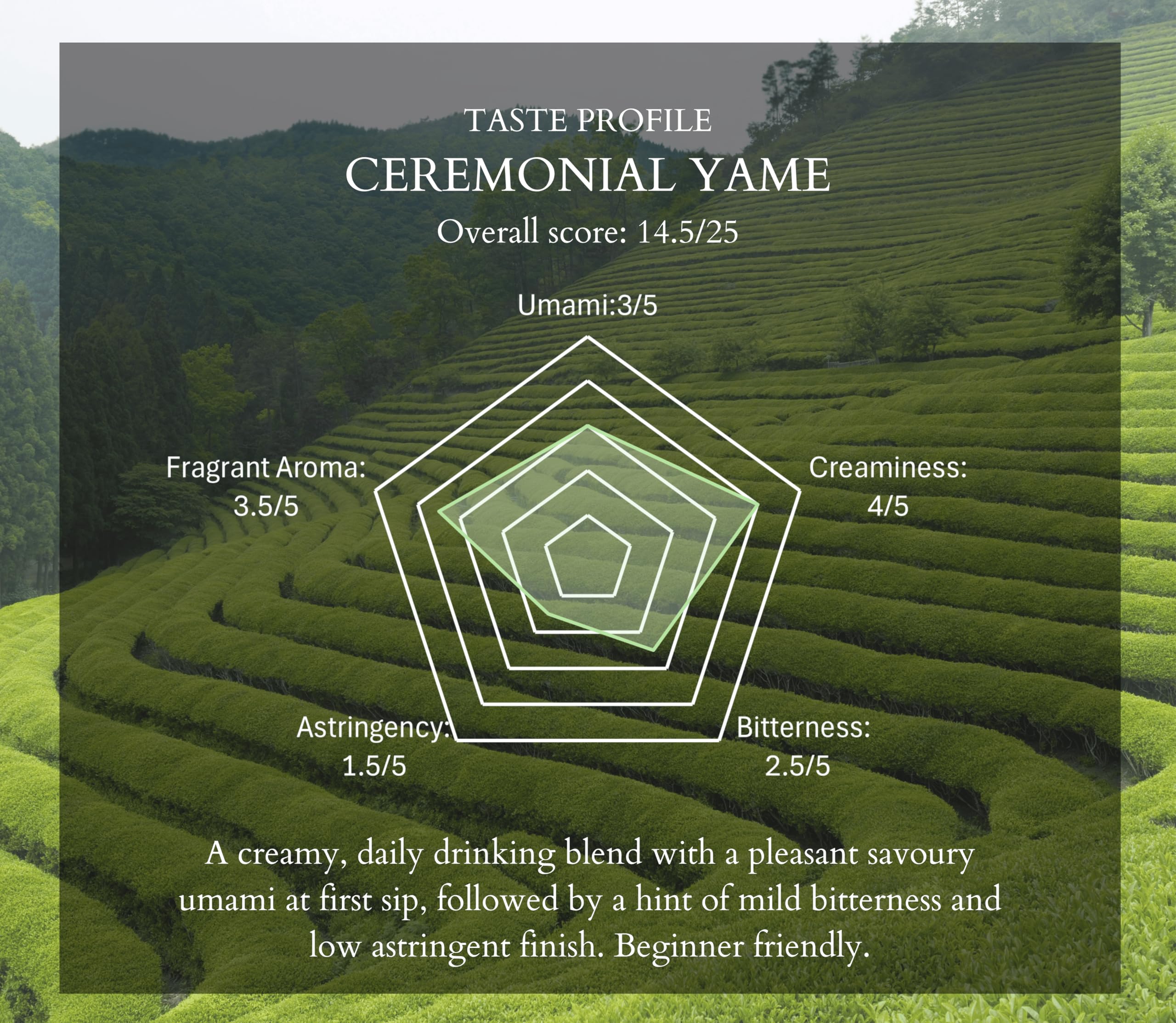 Emerald Leaf โ Ceremonial Matcha โ First Harvest โ 40g โ Unsweetened no additives - Canadian Distribution - Ships Free Within Canada on Orders Above CAD $199 - Image 7