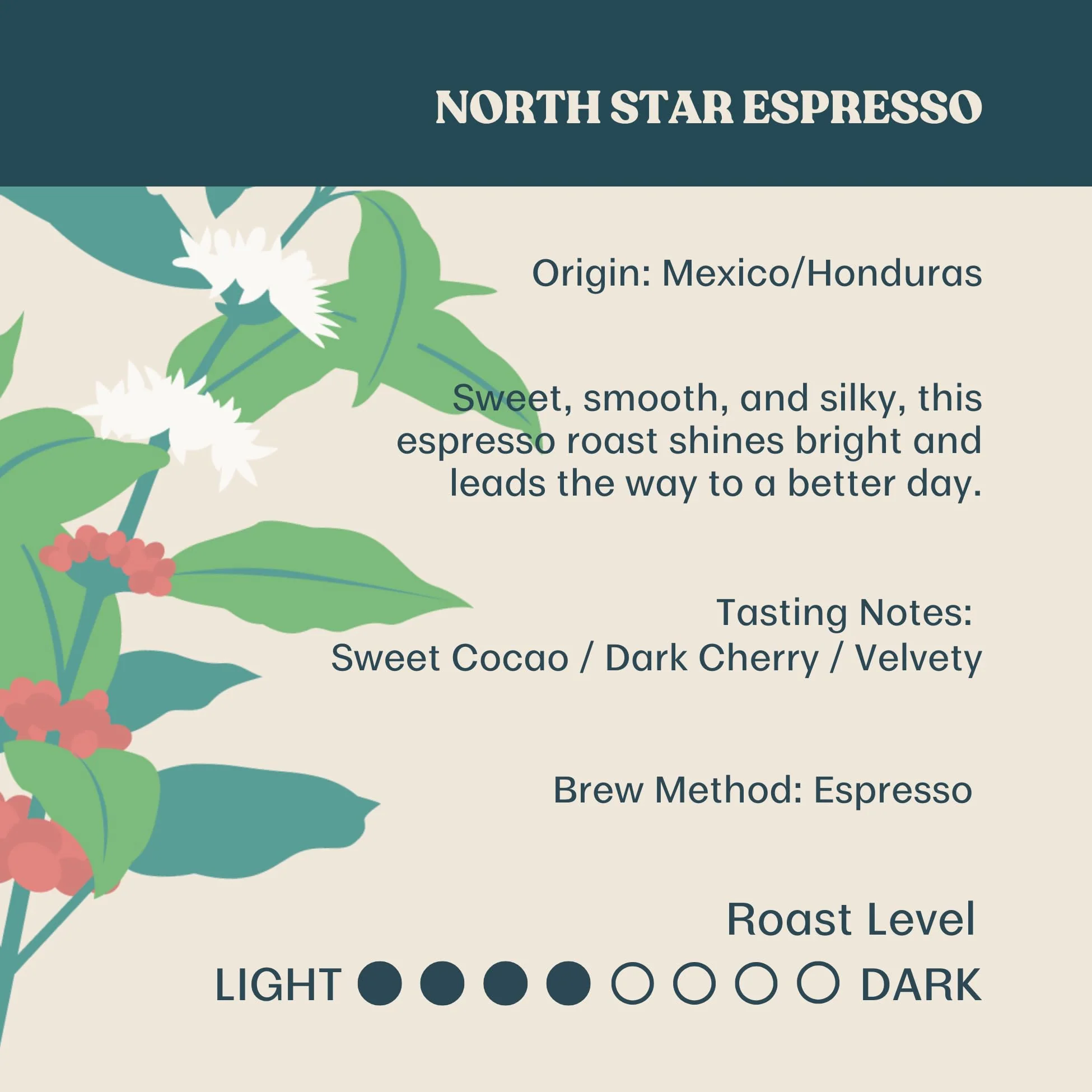 Equator Coffee Roasters – North Star Espresso Blend – Cocoa and Dark Cherry – 12oz – Organic - Canadian Distribution - Ships Free Within Canada on Orders Above CAD $199 - Image 11