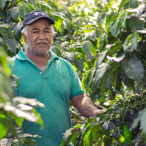 Equator Coffee Roasters – North Star Espresso Blend – Cocoa and Dark Cherry – 12oz – Organic - Canadian Distribution - Ships Free Within Canada on Orders Above CAD $199 - Image 2