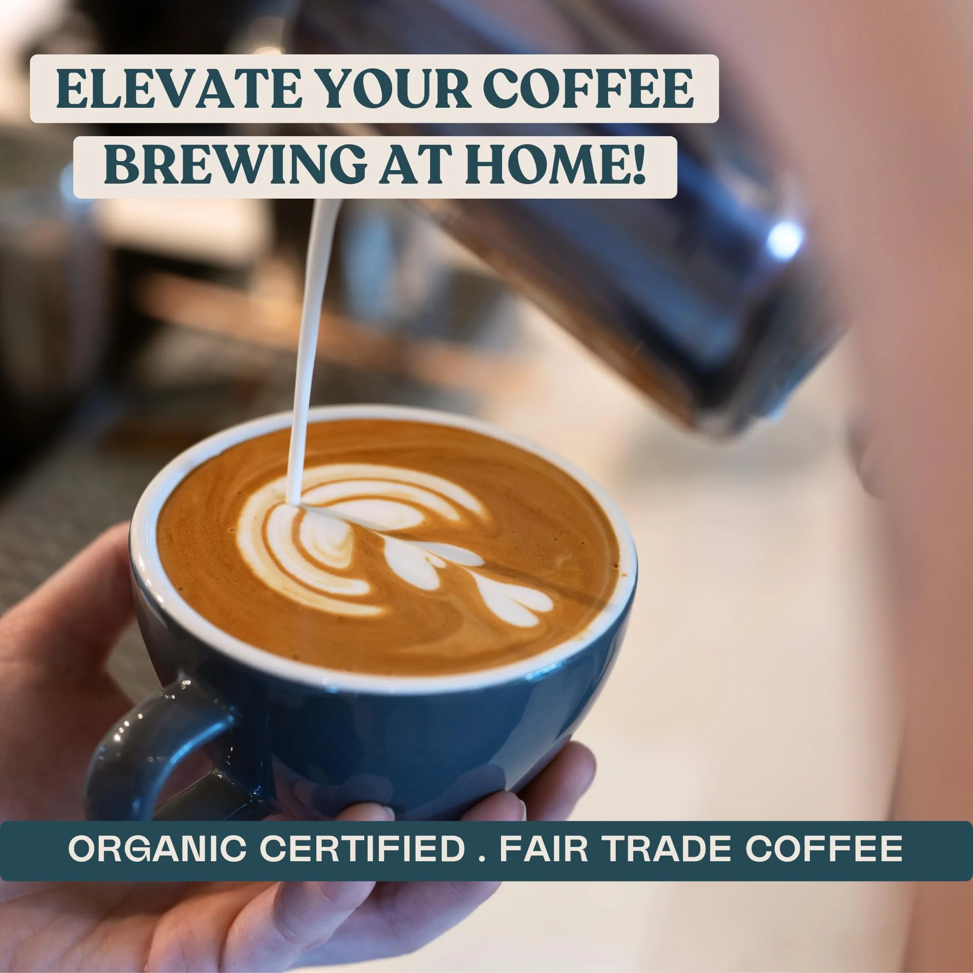 Equator Coffee Roasters – North Star Espresso Blend – Cocoa and Dark Cherry – 12oz – Organic - Canadian Distribution - Ships Free Within Canada on Orders Above CAD $199 - Image 5
