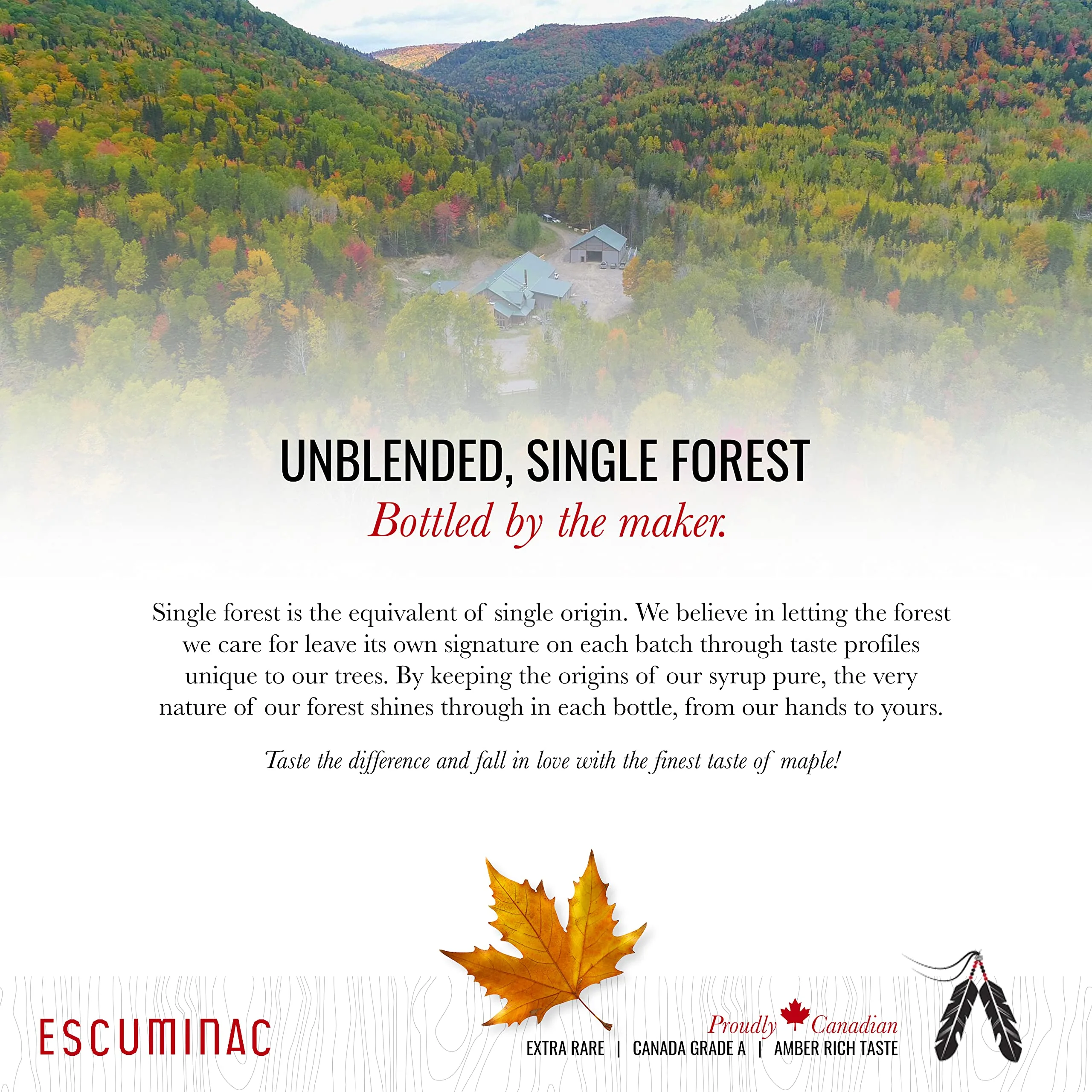 Escuminac โ Maple Syrup โ Extra Rare Amber โ Mini Bottles โ 12 ร 50 ml - Canadian Distribution - Ships Free Within Canada on Orders Above CAD $199 - Image 3