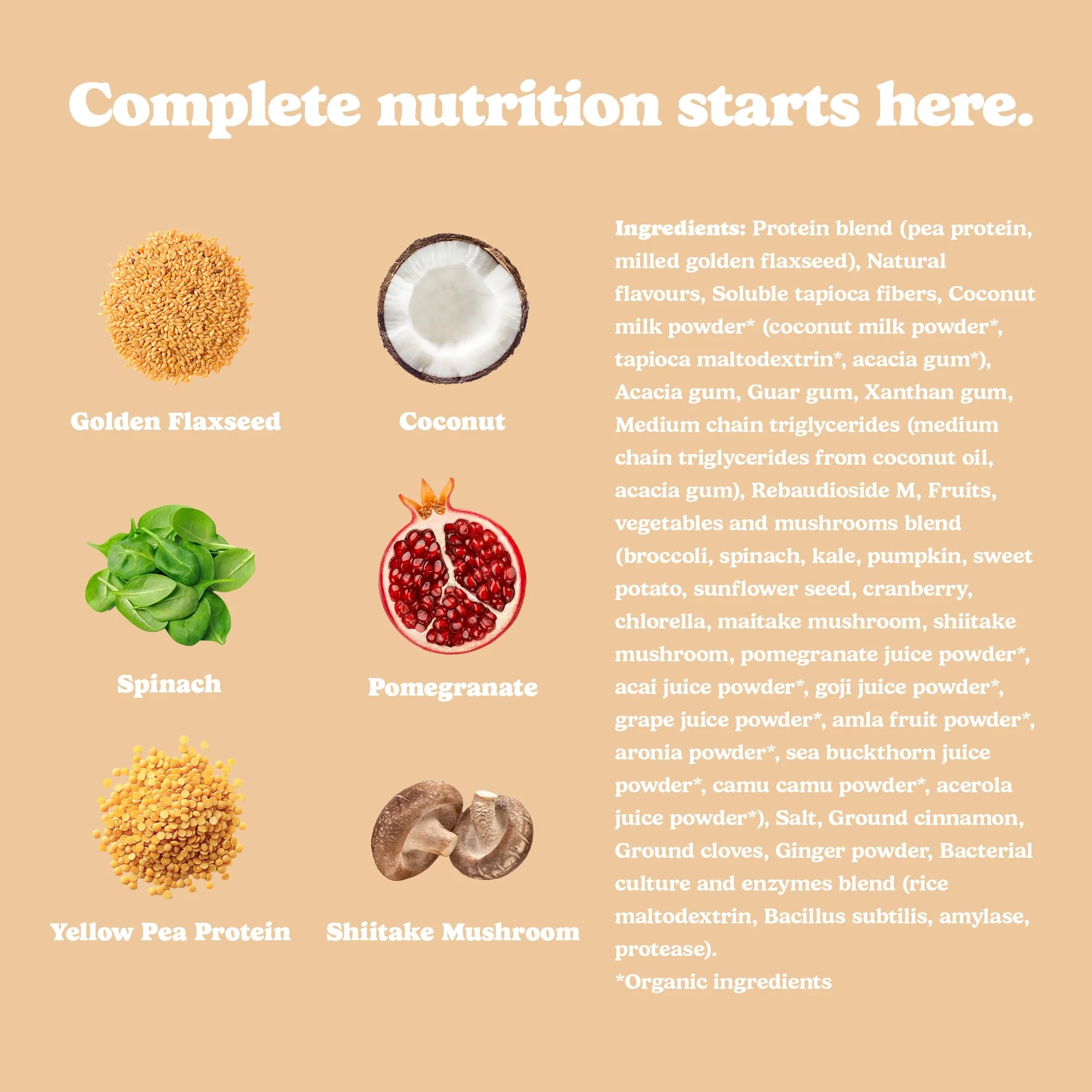 Good Protein - Chai Latte - Vegan Plant-Based Protein Powder - 440g - Canadian Distribution - Ships Free Within Canada on Orders Above CAD $199 - Image 2