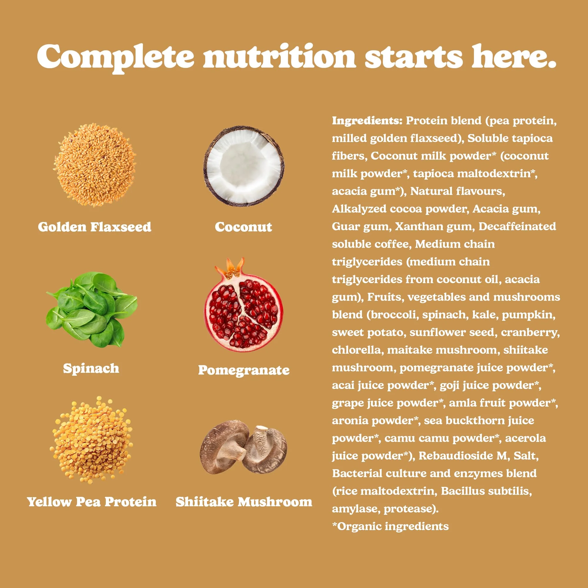 Good Protein - Mocha - Vegan Plant-Based Protein Powder - 440g - Canadian Distribution - Ships Free Within Canada on Orders Above CAD $199 - Image 2