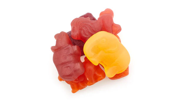 Jelly Zoo Animals Candy - 10 LB Box - Premium Candies & Gummies - Ships Free Within Canada on Orders Above CAD $199