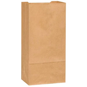 Kraft #10 - 10 Lbs Brown Paper Bag - 2 x 500 Case