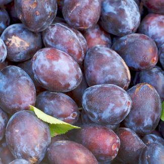 LES VERGERS BOIRON Frozen Fruit Puree – Dark Red Plum (1kg) - Canadian Distribution - Ships Free Within Canada on Orders Above CAD $199 - Image 4