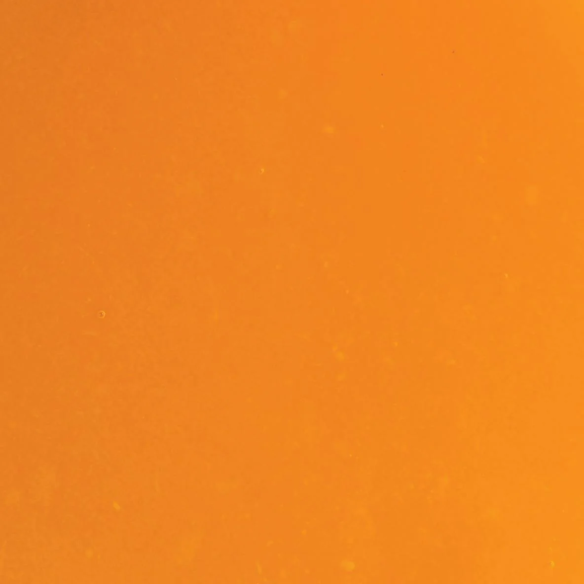 LES VERGERS BOIRON Frozen Vegetable Puree – Pumpkin (1kg) - Canadian Distribution - Ships Free Within Canada on Orders Above CAD $199 - Image 2