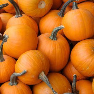 LES VERGERS BOIRON Frozen Vegetable Puree – Pumpkin (1kg) - Canadian Distribution - Ships Free Within Canada on Orders Above CAD $199 - Image 4