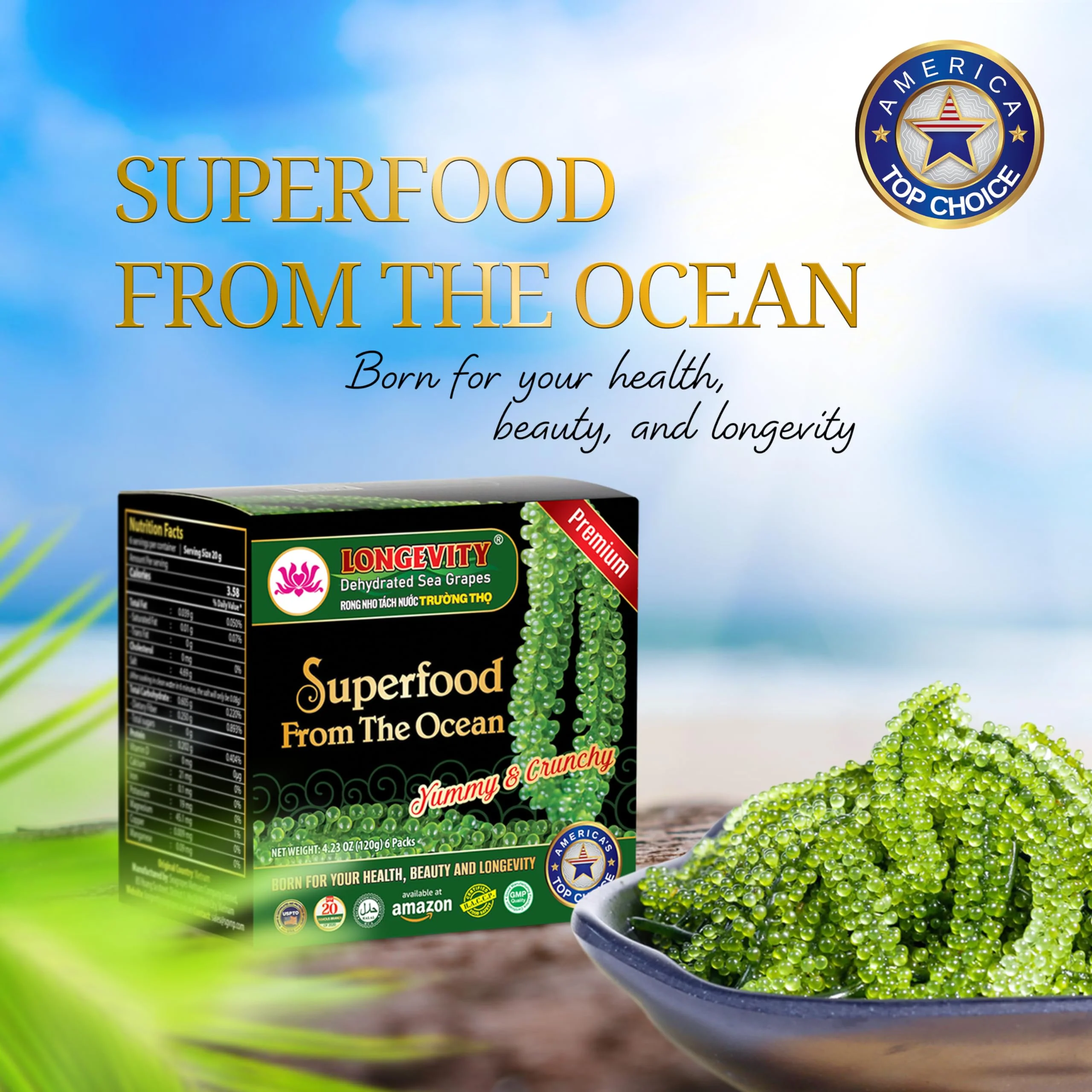 Longevity โ Sea Grapes Umibudo Green Caviar โ Original โ 6 Pack โ Dehydrated saltwater marinated - Canadian Distribution - Ships Free Within Canada on Orders Above CAD $199 - Image 5