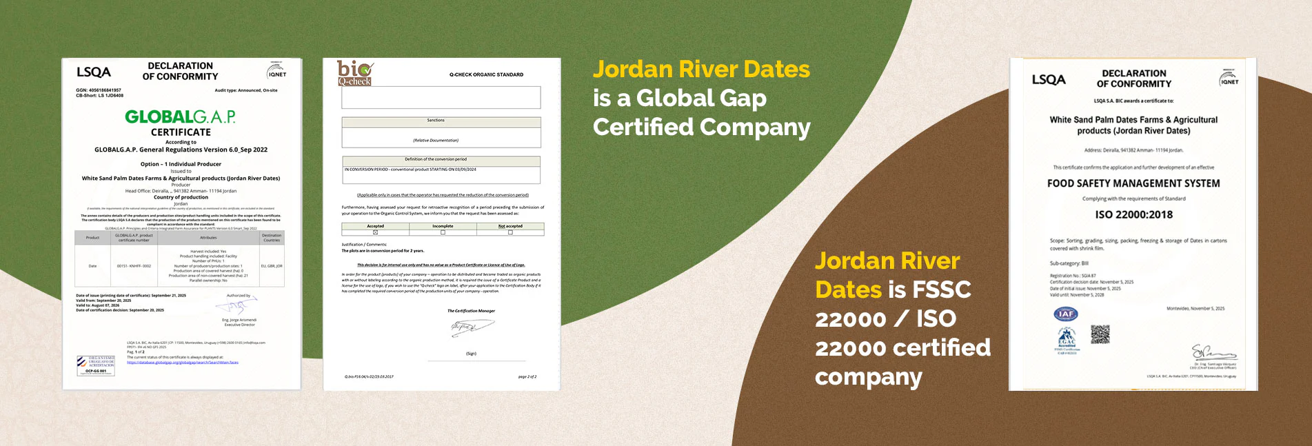 Medjool (Medjoul) Dates - Jumbo - 5 KG Box - Jordan River Dates - Canadian Distribution - Ships Free Within Canada on Orders Above CAD $199 - Image 2