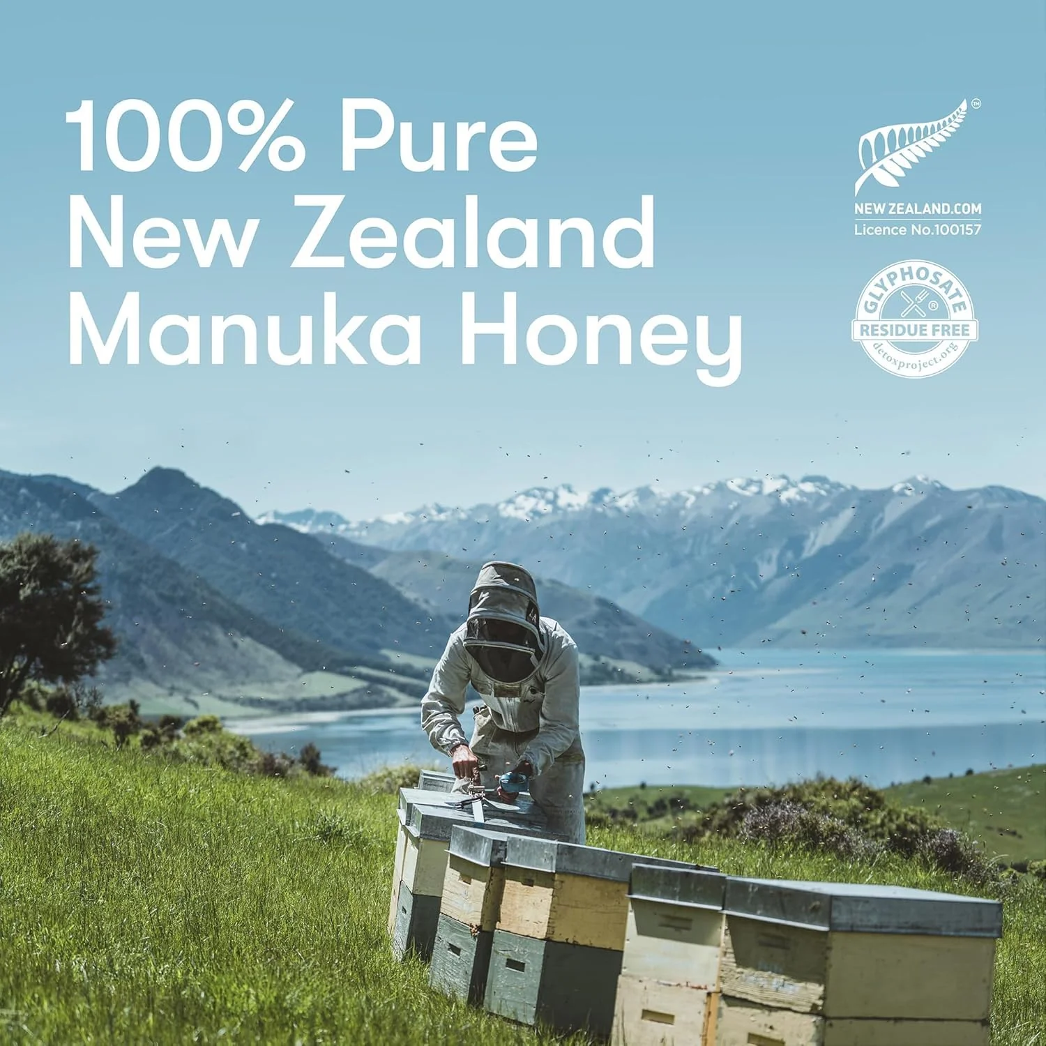 New Zealand Honey Co. โ Manuka Honey โ UMF 20+ / MGO 829+ โ 250 g - Canadian Distribution - Ships Free Within Canada on Orders Above CAD $199 - Image 2