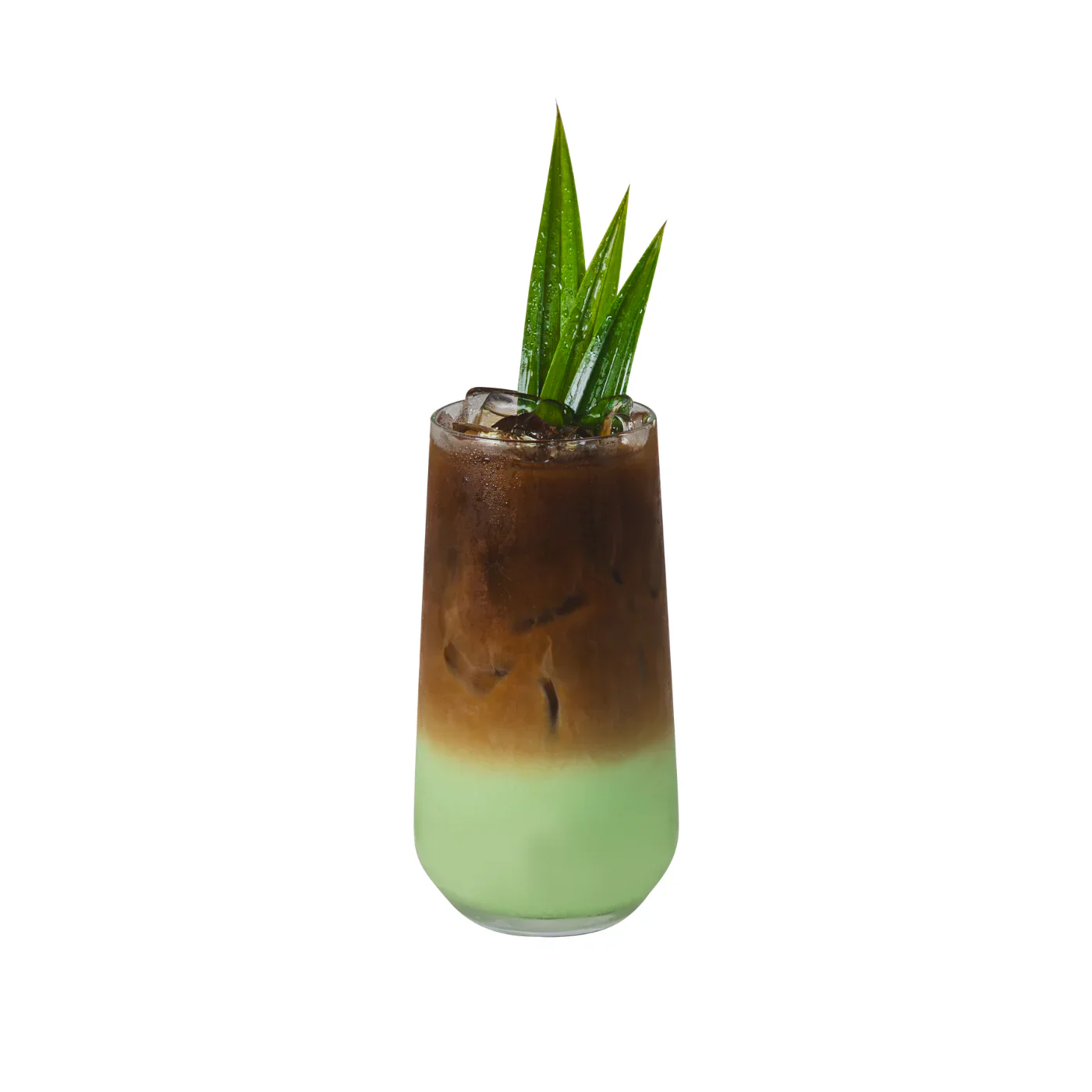 Pandan Powder Mix | NEW | 2.2 Lbs. Bag - Bossen Canada - Ships Free Within Canada on Orders Above CAD $199 - Image 4