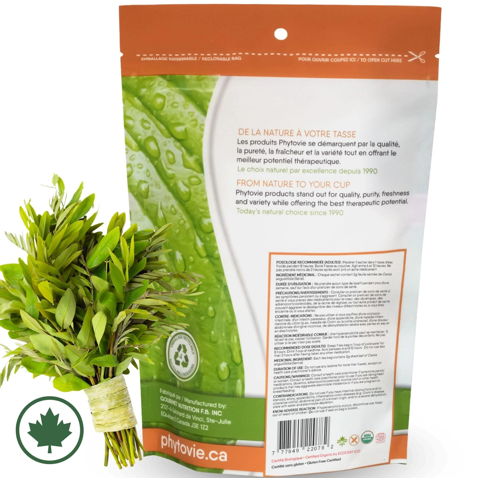 PHYTOVIE โ Organic Senna Detox Tea โ Senna Herbal Blend โ 50 Tea Bags โ Natural laxative - Canadian Distribution - Ships Free Within Canada on Orders Above CAD $199 - Image 2