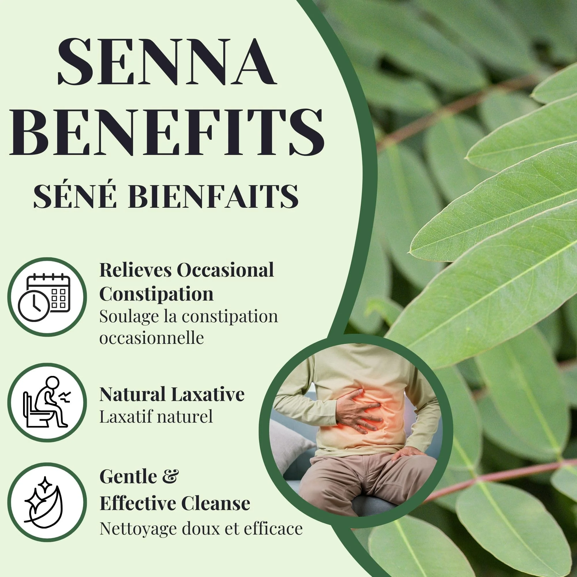 PHYTOVIE โ Organic Senna Detox Tea โ Senna Herbal Blend โ 50 Tea Bags โ Natural laxative - Canadian Distribution - Ships Free Within Canada on Orders Above CAD $199 - Image 7