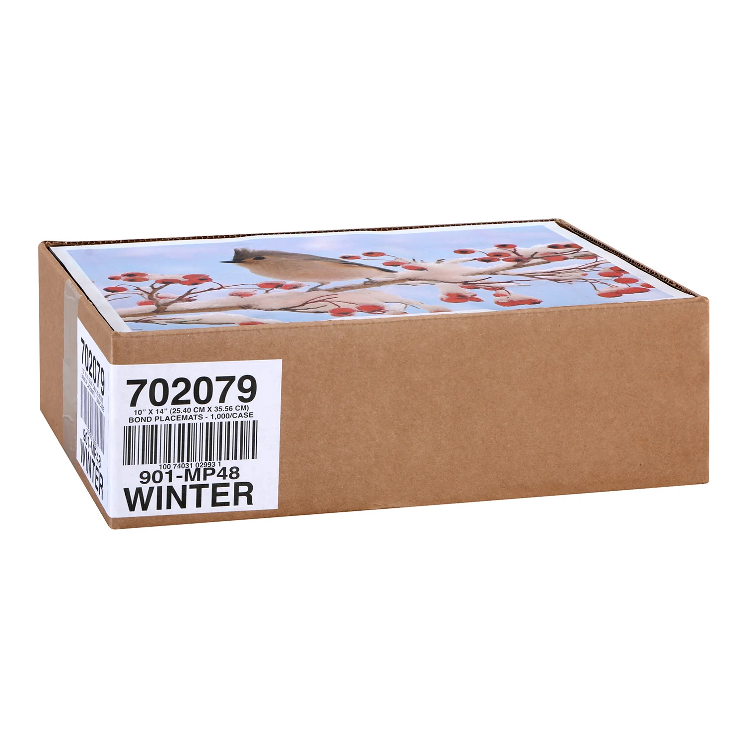 Placemat 10 x 14 Multi Pack Winter - 1 x 1000 count - Hoffmaster Food - Packaging and Accessories - Restaurant Supplies and Equipment - Canadian Distribution - Image 3