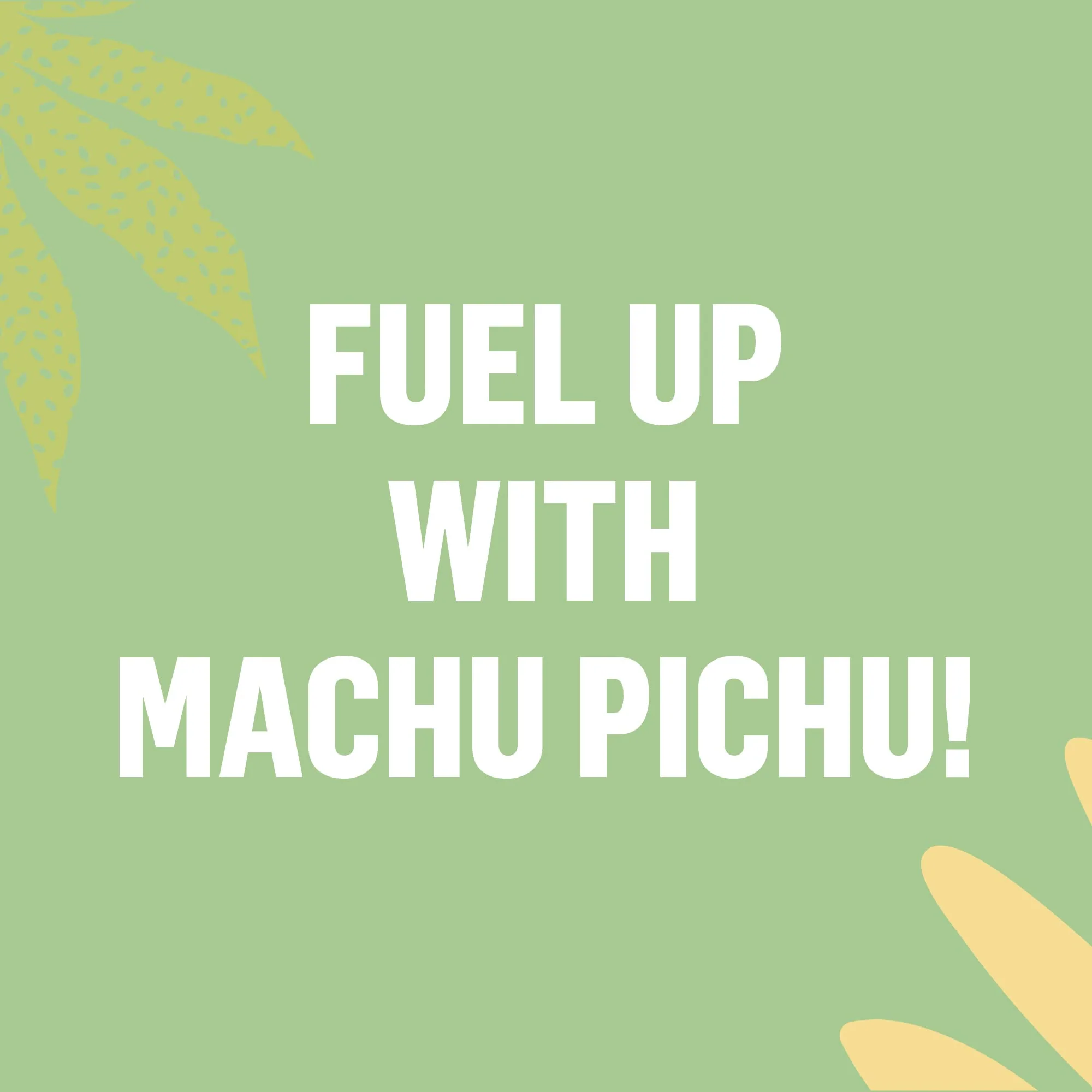 Prana Machu Pichu - Organic Fruit & Nut Trail Mix | 2 x 150g - Canadian Distribution - Ships Free Within Canada on Orders Above CAD $199 - Image 2