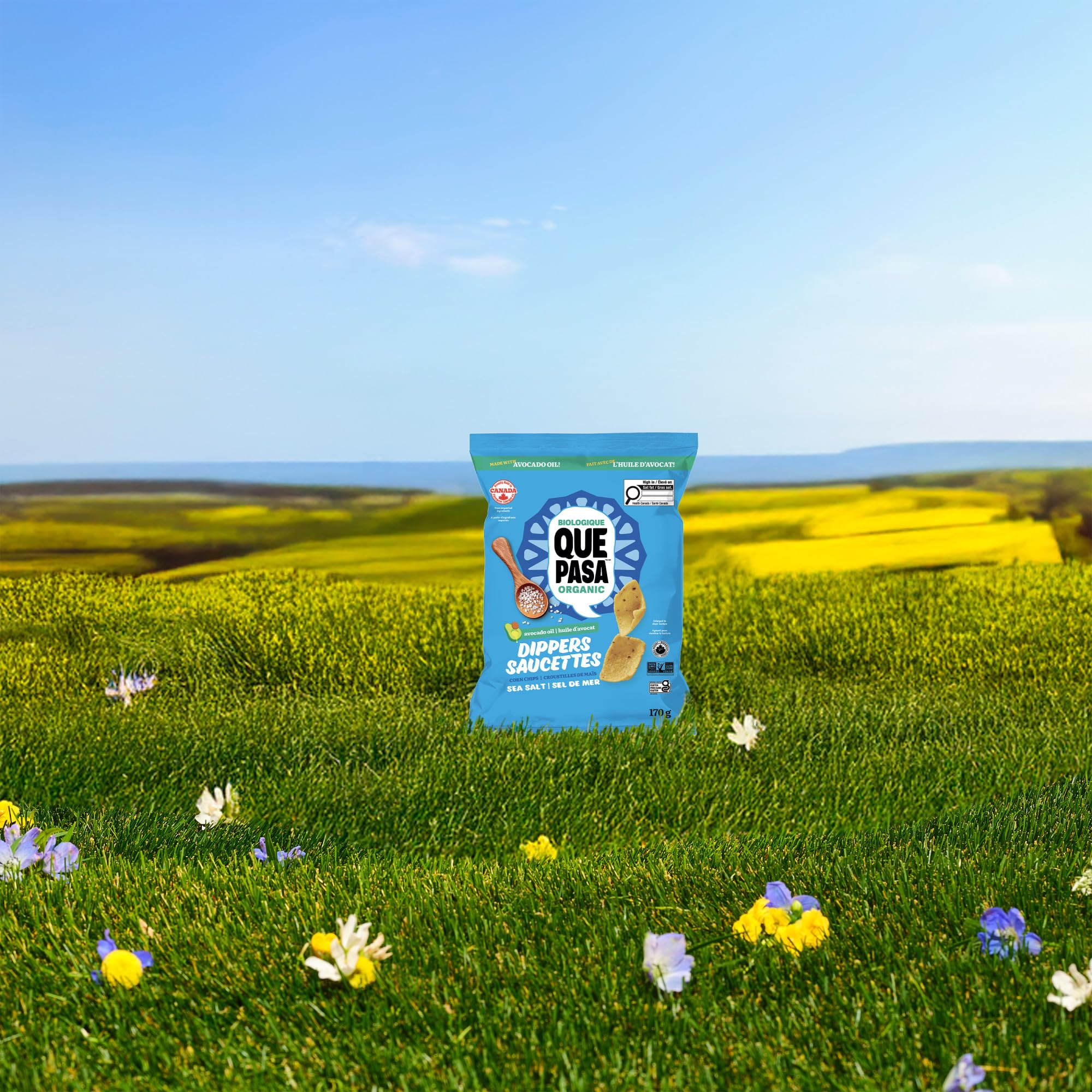 Que Pasa Organic Salted Dippers Tortilla Chips - 12 Pack (170g each) | Gluten Free & Non-GMO - Canadian Distribution - Ships Free Within Canada on Orders Above CAD $199 - Image 4