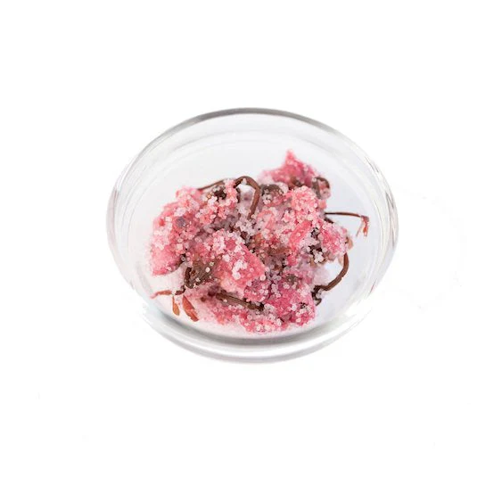 Salt-Preserved Sakura (Cherry Blossom) Flowers - 500g - Canadian Distribution - Ships Free Within Canada on Orders Above CAD $199