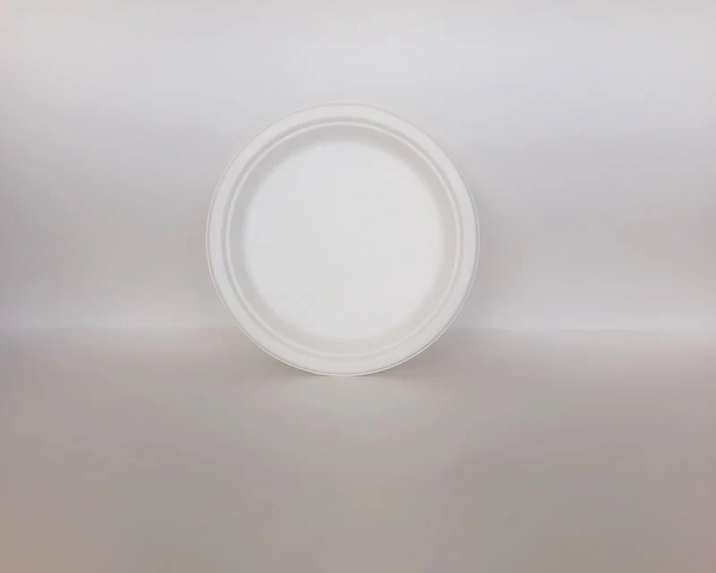 Sugarcane Plate - 6/7/9/10 inch - 1000cs BPI - Disposable Take Away Food Packaging - Canadian Distribution - Image 3