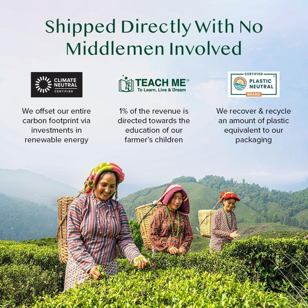 VAHDAM Assorted Tea Sampler – 2 x 15 Premium Flavors in Pyramid Tea Bags - Canadian Distribution - Ships Free Within Canada on Orders Above CAD $199 - Image 2
