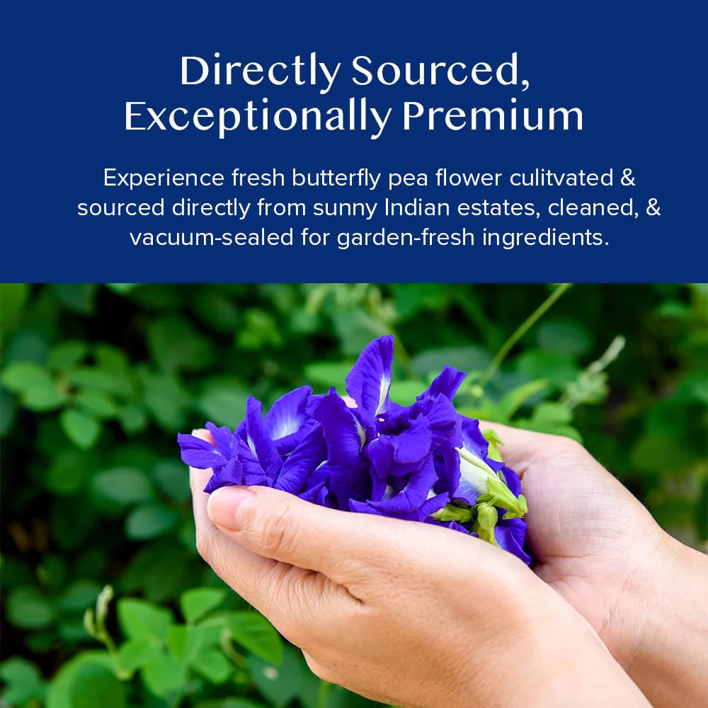 VAHDAM Butterfly Pea Flower Tea - 2 x 1.76oz Loose Leaf | 100+ Servings | Earthy & Delicate Flavor - Canadian Distribution - Ships Free Within Canada on Orders Above CAD $199 - Image 8