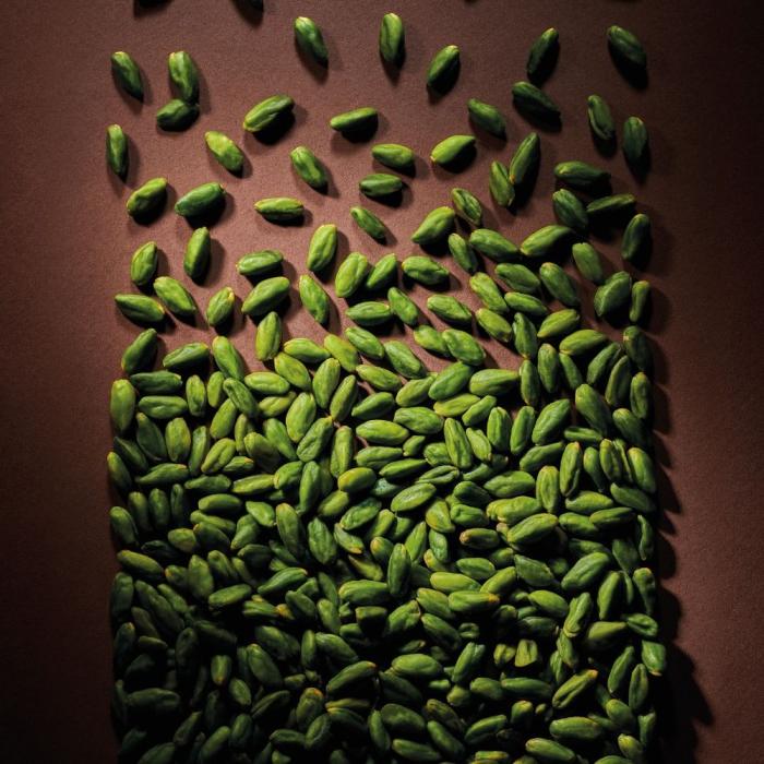 VALRHONA Pistachio Praliné 42% - 5kg - Canadian Distribution - Ships Free Within Canada on Orders Above CAD $199 - Image 4