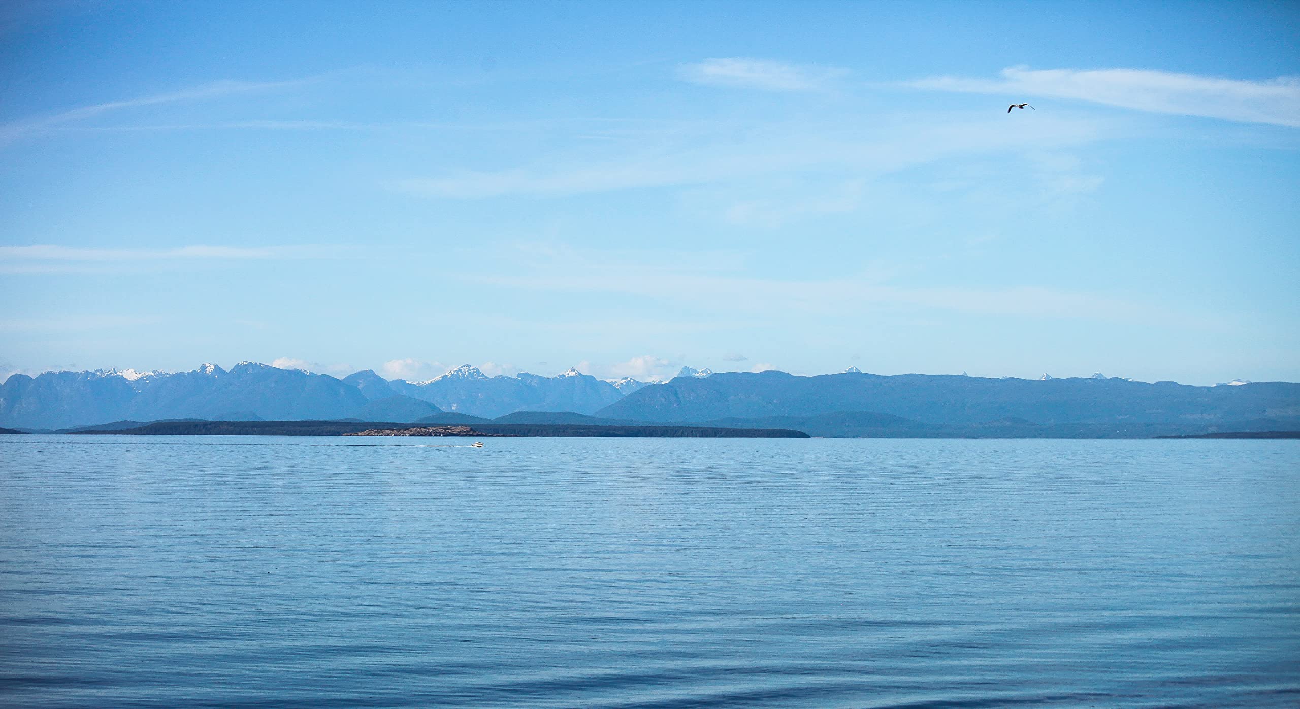 Vancouver Island Salt โ Large Salt Flakes โ Sea Salt โ 1kg - Canadian Distribution - Ships Free Within Canada on Orders Above CAD $199 - Image 5