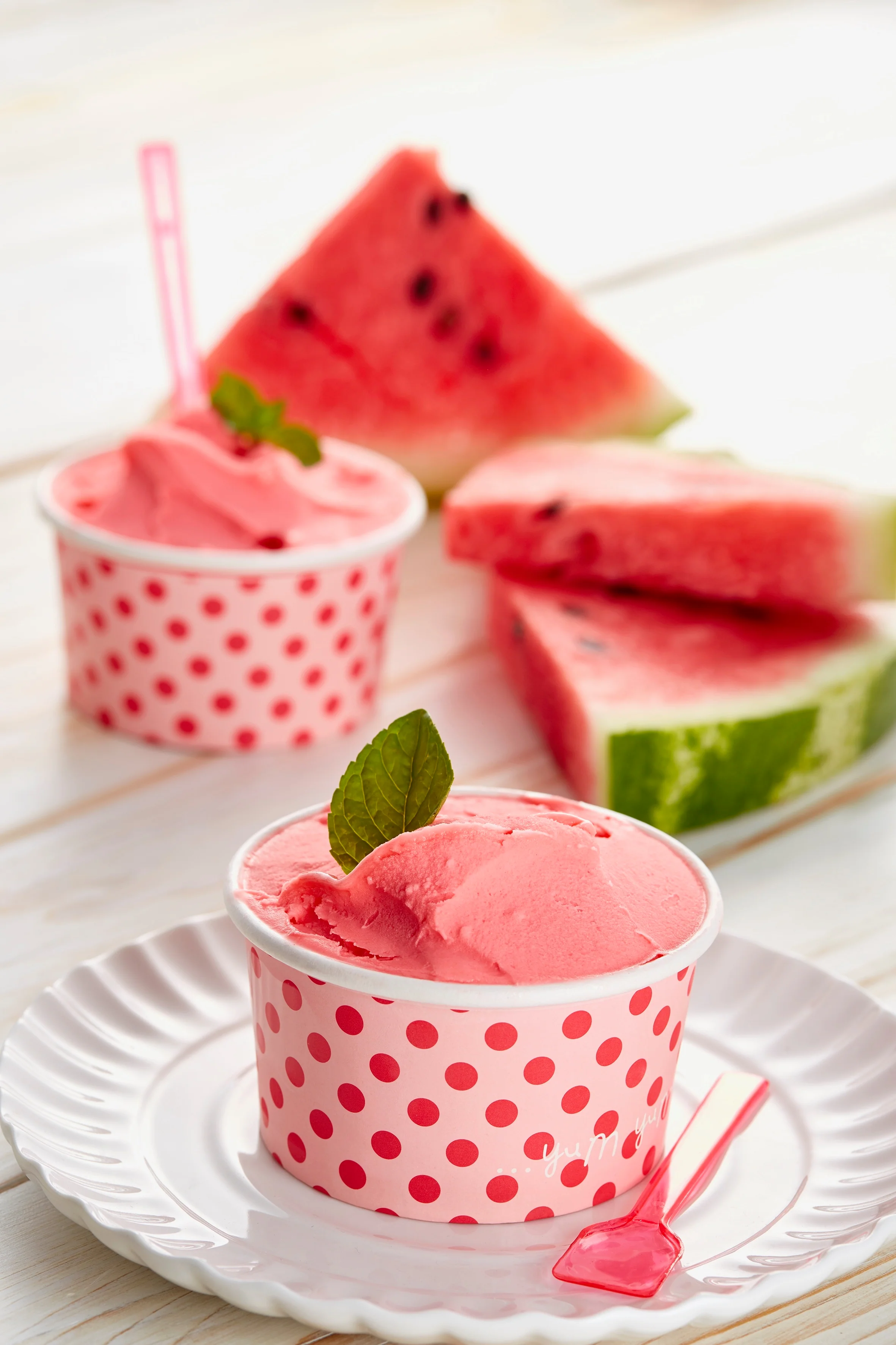 Watermelon Ready Fruit - Ready Base for Soft Serve and Gelato - Case of 6 x 1.25 KG bags - Rubicone Canada - Ships Free Within Canada on Orders Above CAD $199 - Image 2
