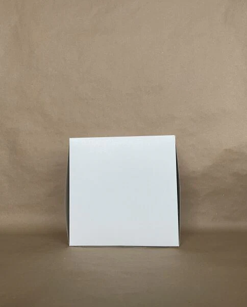 White Box 9" x 9" x 5"  100 per bundle - Disposable Take Away Food Packaging - Canadian Distribution